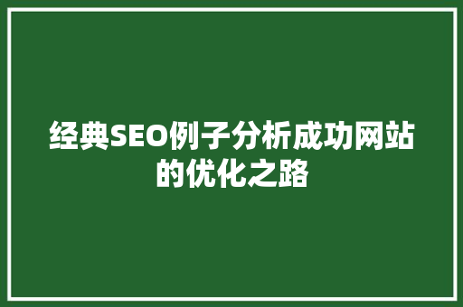 经典SEO例子分析成功网站的优化之路