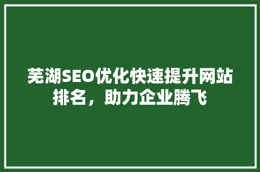 芜湖SEO优化快速提升网站排名，助力企业腾飞