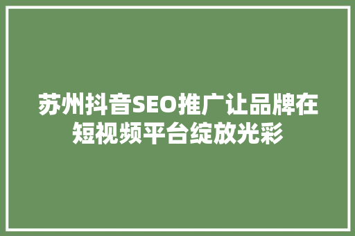苏州抖音SEO推广让品牌在短视频平台绽放光彩