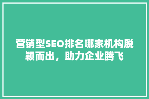 营销型SEO排名哪家机构脱颖而出，助力企业腾飞