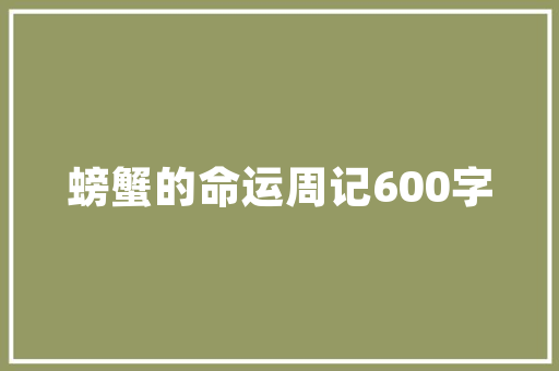 ASP播放技术在现代媒体传播中的应用与价值