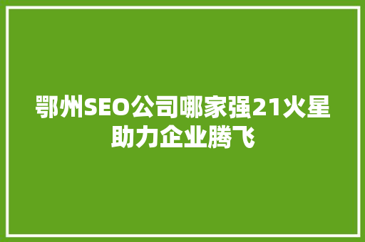 鄂州SEO公司哪家强21火星助力企业腾飞
