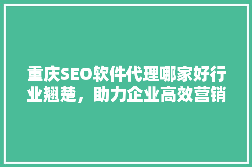 重庆SEO软件代理哪家好行业翘楚，助力企业高效营销