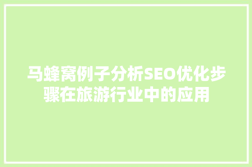 马蜂窝例子分析SEO优化步骤在旅游行业中的应用