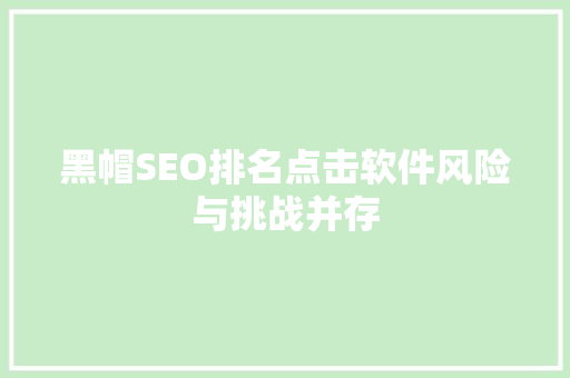 黑帽SEO排名点击软件风险与挑战并存