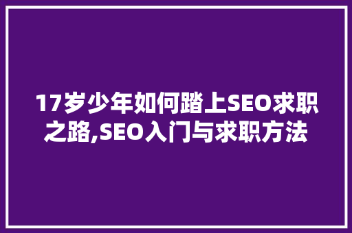 17岁少年如何踏上SEO求职之路,SEO入门与求职方法