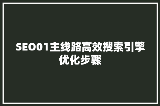 SEO01主线路高效搜索引擎优化步骤