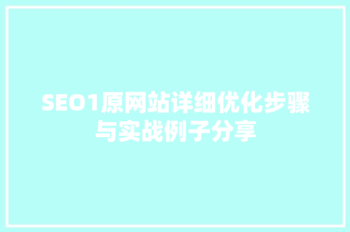 SEO1原网站详细优化步骤与实战例子分享