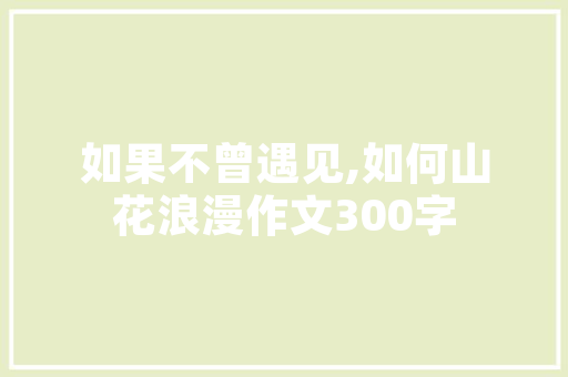 C语言代码行数背后的奥秘提示编程之美