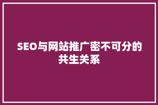 SEO与网站推广密不可分的共生关系