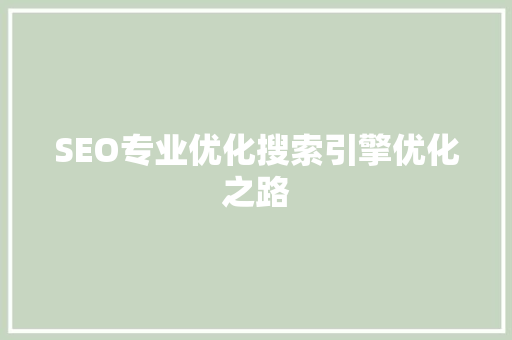 SEO专业优化搜索引擎优化之路