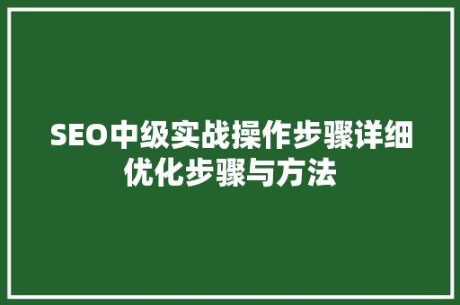 SEO中级实战操作步骤详细优化步骤与方法