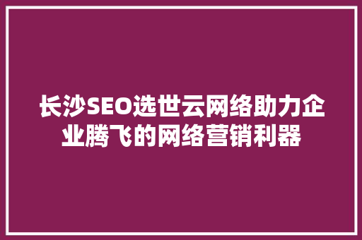 长沙SEO选世云网络助力企业腾飞的网络营销利器