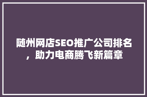 随州网店SEO推广公司排名，助力电商腾飞新篇章