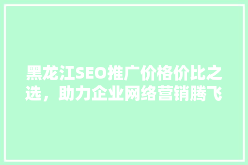 黑龙江SEO推广价格价比之选，助力企业网络营销腾飞
