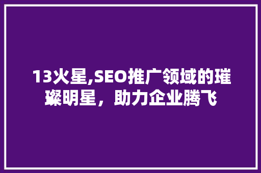 13火星,SEO推广领域的璀璨明星，助力企业腾飞