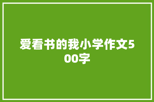 SEO2025开源建站系统助力企业打造高效网站，提升搜索引擎排名