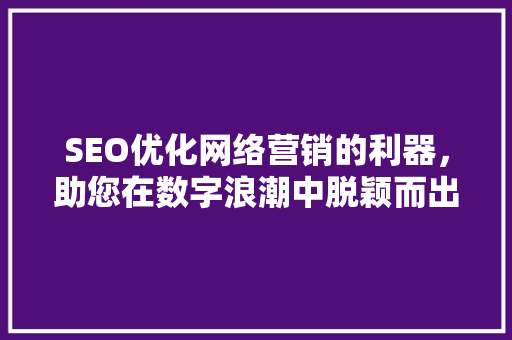 SEO优化网络营销的利器，助您在数字浪潮中脱颖而出