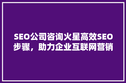 SEO公司咨询火星高效SEO步骤，助力企业互联网营销