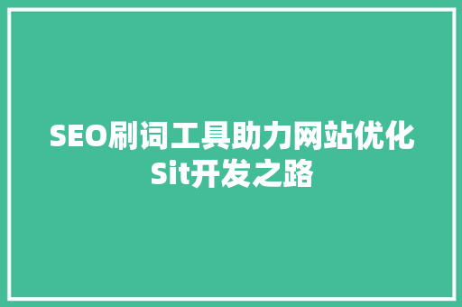 SEO刷词工具助力网站优化Sit开发之路