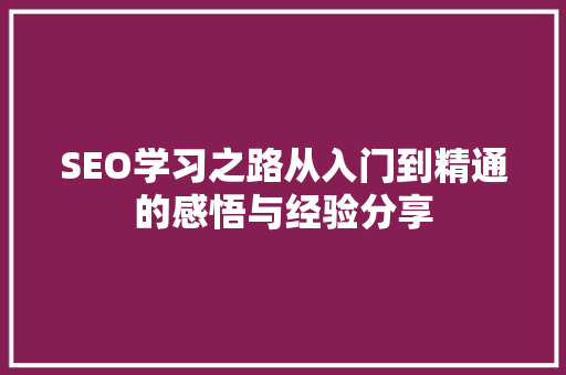 SEO学习之路从入门到精通的感悟与经验分享