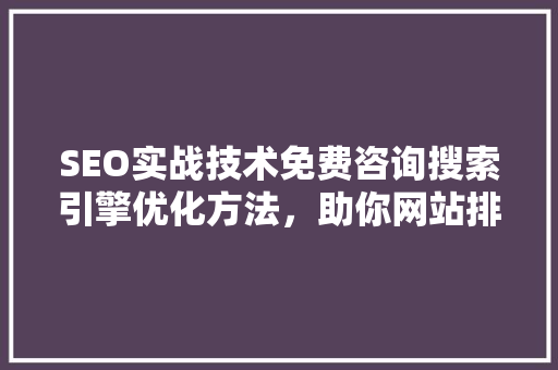 SEO实战技术免费咨询搜索引擎优化方法，助你网站排名飙升