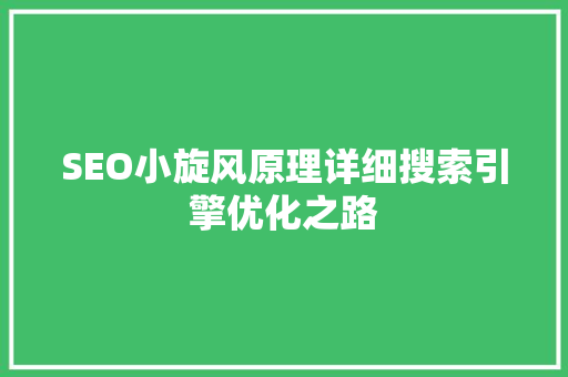 SEO小旋风原理详细搜索引擎优化之路