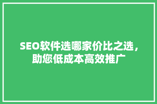 SEO软件选哪家价比之选，助您低成本高效推广