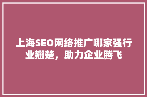上海SEO网络推广哪家强行业翘楚，助力企业腾飞