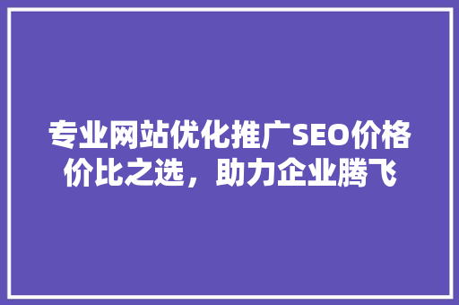 专业网站优化推广SEO价格价比之选，助力企业腾飞
