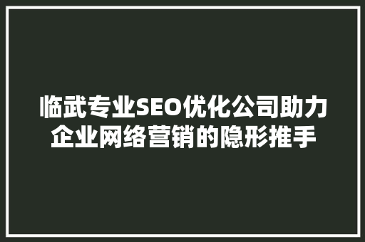临武专业SEO优化公司助力企业网络营销的隐形推手