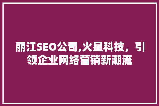 丽江SEO公司,火星科技，引领企业网络营销新潮流