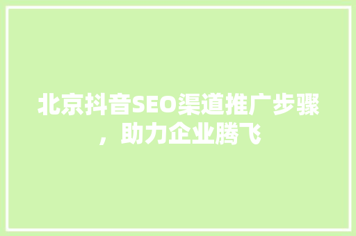 北京抖音SEO渠道推广步骤，助力企业腾飞