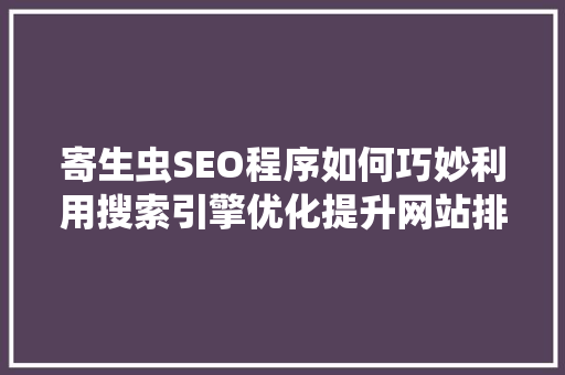寄生虫SEO程序如何巧妙利用搜索引擎优化提升网站排名  第1张