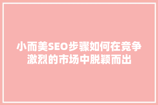 小而美SEO步骤如何在竞争激烈的市场中脱颖而出