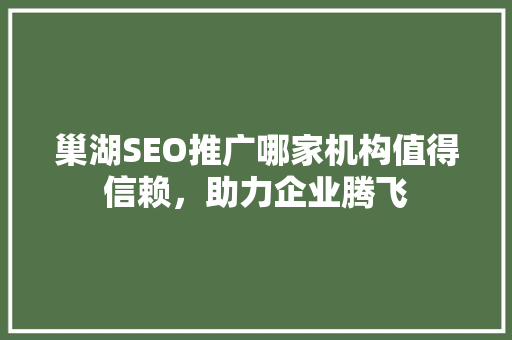 巢湖SEO推广哪家机构值得信赖，助力企业腾飞
