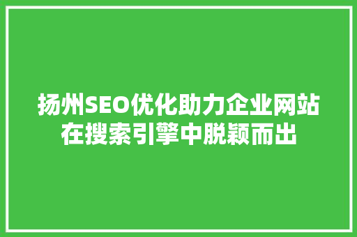扬州SEO优化助力企业网站在搜索引擎中脱颖而出