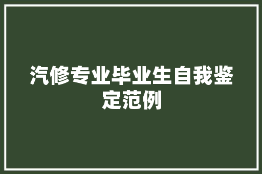 普陀SEO优化费用与回报的平衡艺术