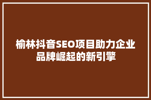 榆林抖音SEO项目助力企业品牌崛起的新引擎
