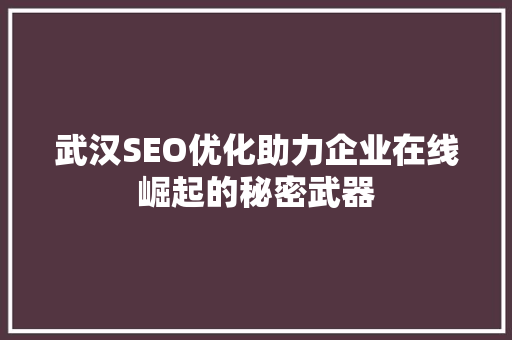武汉SEO优化助力企业在线崛起的秘密武器