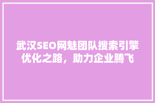 武汉SEO网魅团队搜索引擎优化之路，助力企业腾飞  第1张