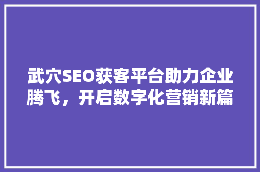 武穴SEO获客平台助力企业腾飞，开启数字化营销新篇章  第1张