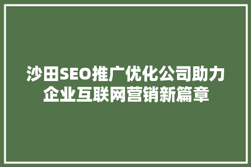 沙田SEO推广优化公司助力企业互联网营销新篇章