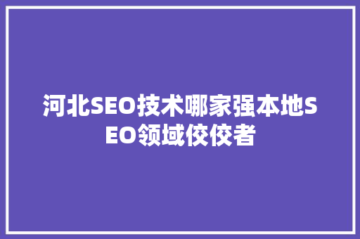 河北SEO技术哪家强本地SEO领域佼佼者