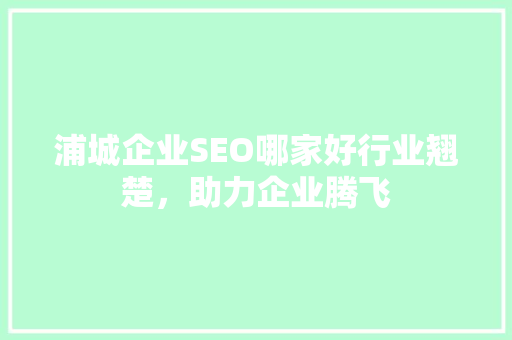 浦城企业SEO哪家好行业翘楚，助力企业腾飞