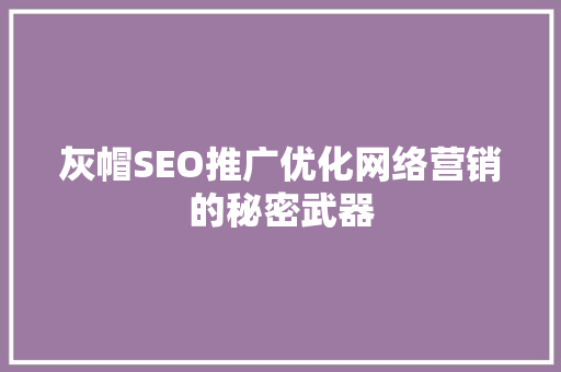 灰帽SEO推广优化网络营销的秘密武器