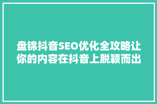 盘锦抖音SEO优化全攻略让你的内容在抖音上脱颖而出