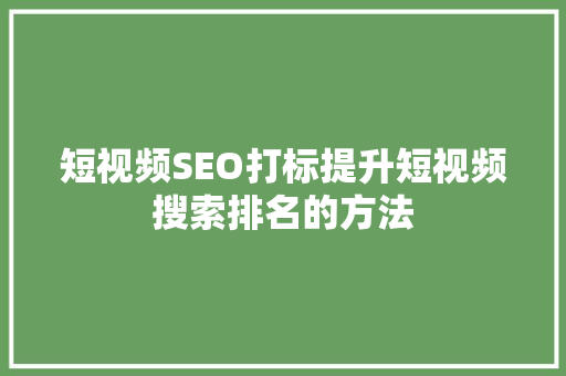 短视频SEO打标提升短视频搜索排名的方法