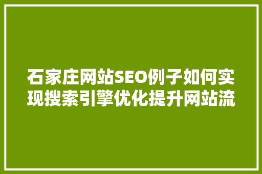石家庄网站SEO例子如何实现搜索引擎优化提升网站流量