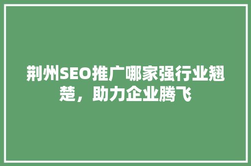 荆州SEO推广哪家强行业翘楚，助力企业腾飞